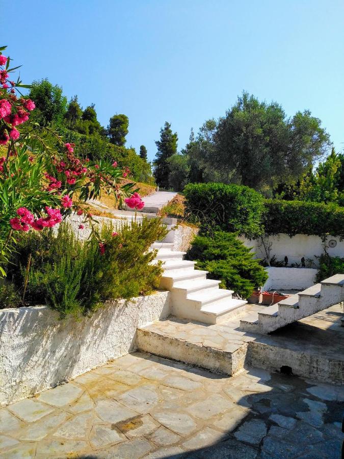 Villa Rebekka's Elani *
